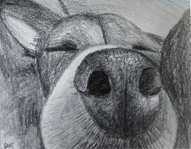 Sketch of my friend's jack russell terrier