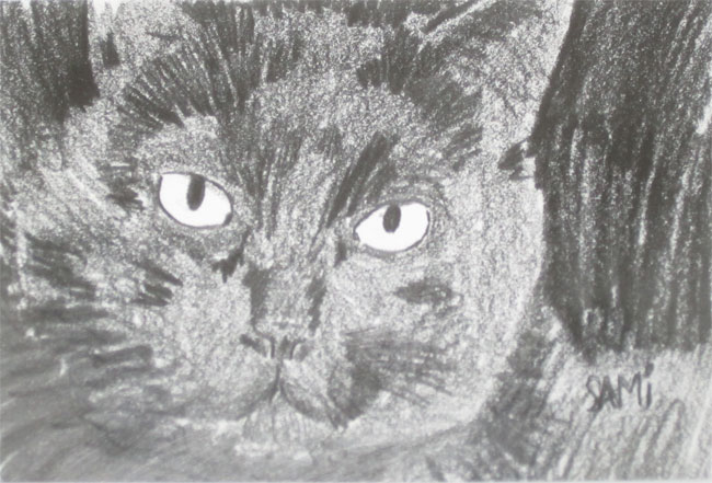 Drawing of my friend's cat, Diffy